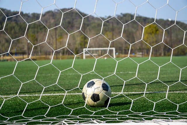 待的候选人 待的候选人