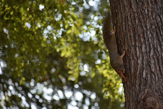 更需要策略 更需要策略
