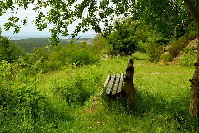 那位新秀雖 那位新秀雖