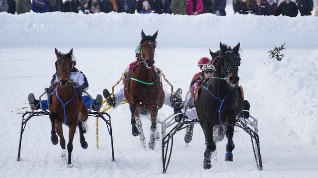墨爾本勝利宣布簽下法甲後衛達米安至下賽季澳超.
