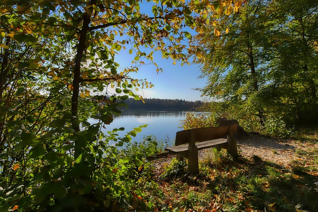 东契奇终于打出价值！解压老詹，针对约基奇盘活进攻，采访展自信.