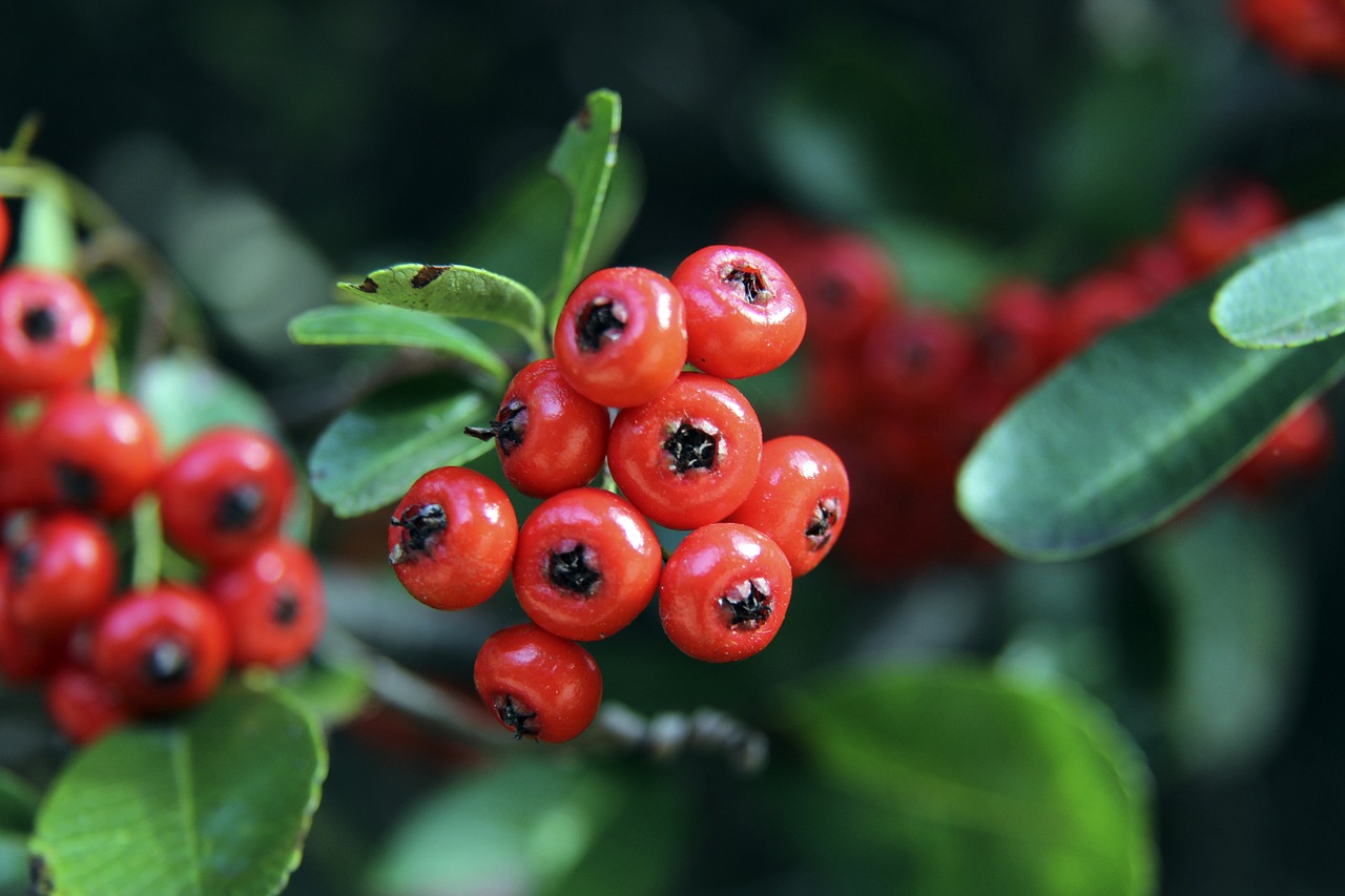 0-4惨遭横扫！太阳跌至西部第11 杜兰特绝望离场恐引发联盟地震.