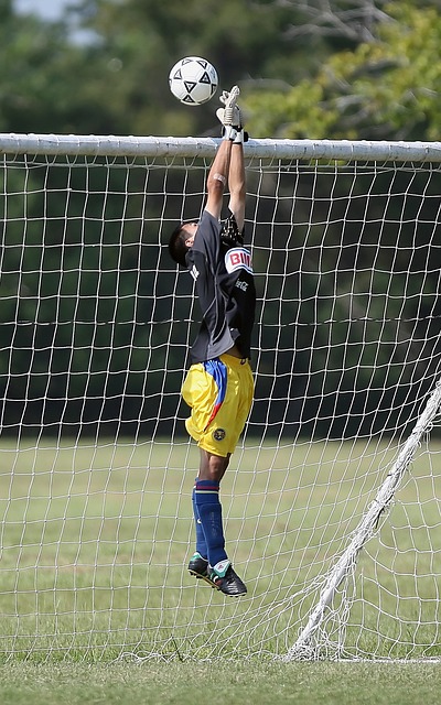 寻求机会 寻求机会