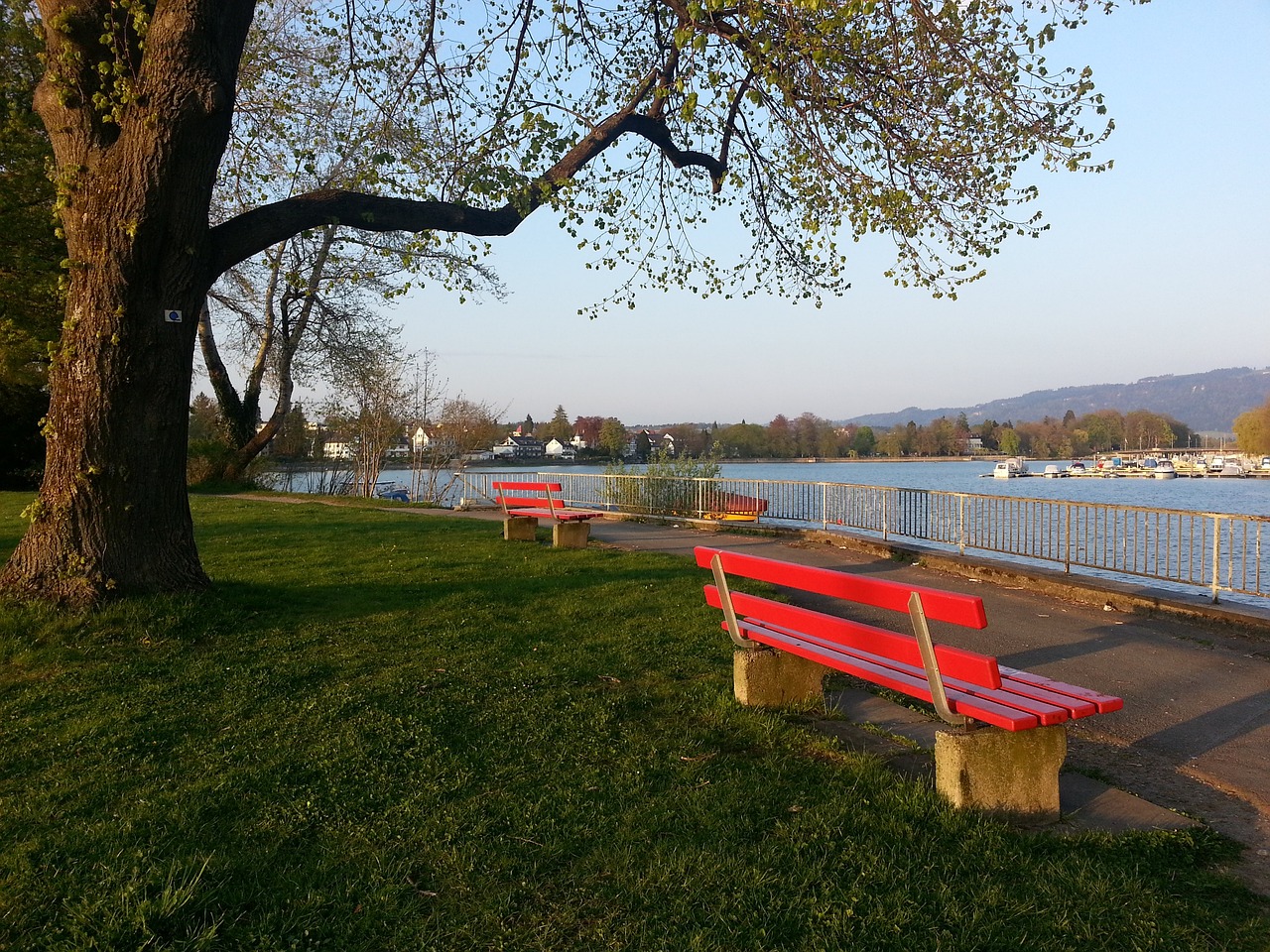 键的进球因 键的进球因