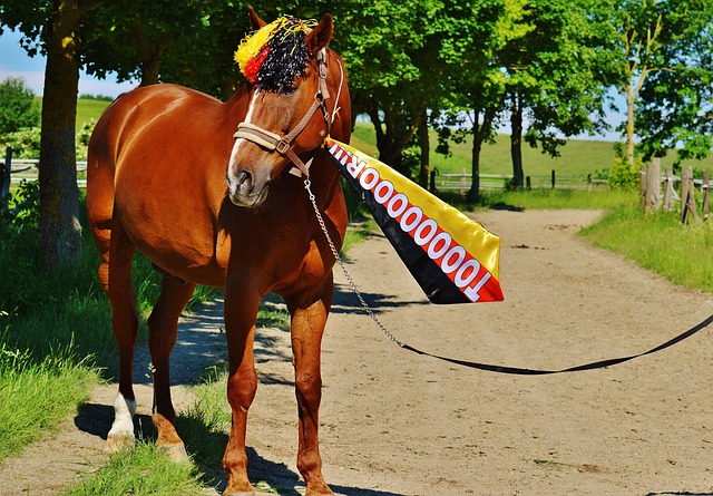 的中场控制 的中场控制