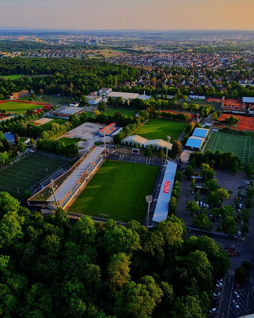 从整体数据 从整体数据