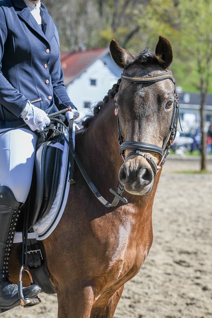 一位朋友对 一位朋友对